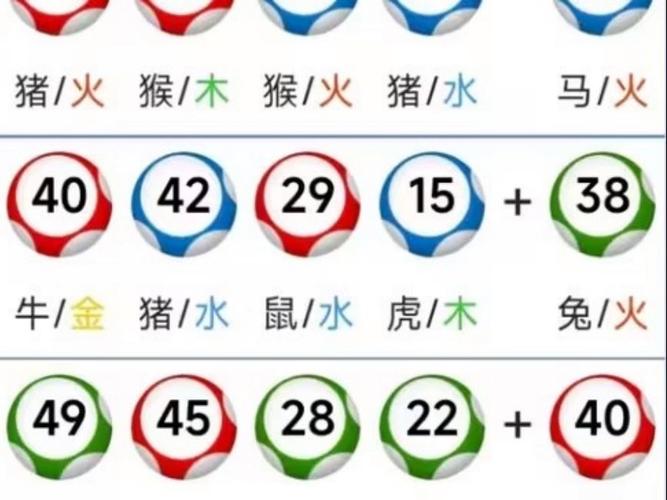 2025澳门天天开好彩大全2023:骑手与狗禁止入内