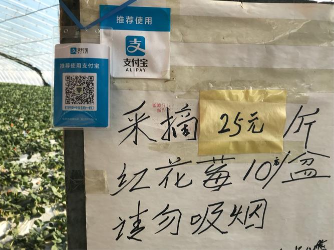 2025年5月28日 第26页
