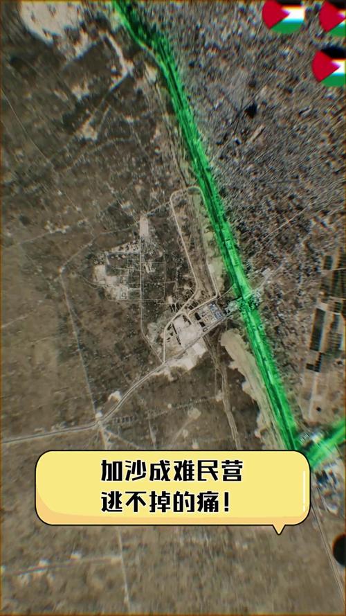 2025年5月29日 第33页