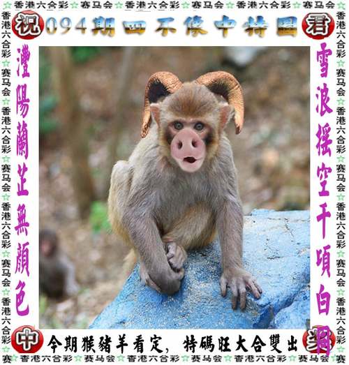 admin 第72页