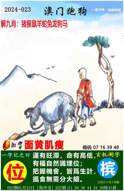 新澳彩免费长期资料大全:飞机疑盲降在建跑道