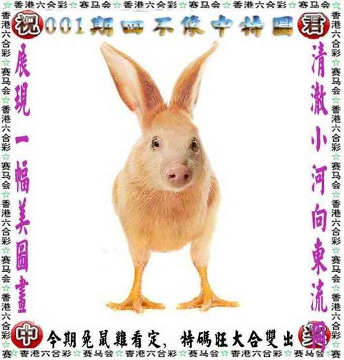 澳彩资料大全部网站010:云南滇池现鱼跳龙门