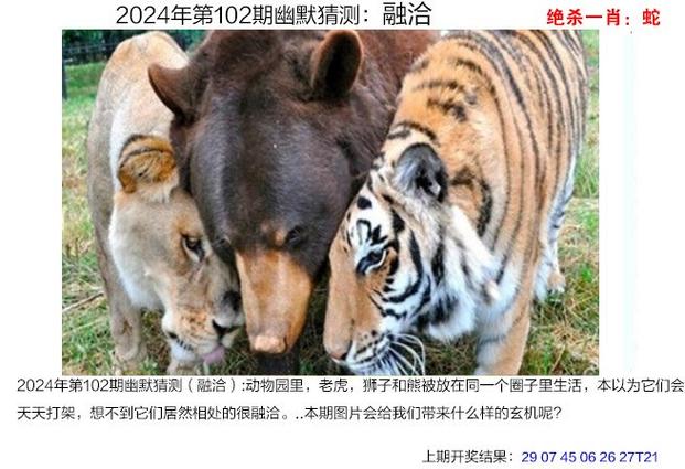 新澳彩免费长期资料大全:北海道附近或有强震