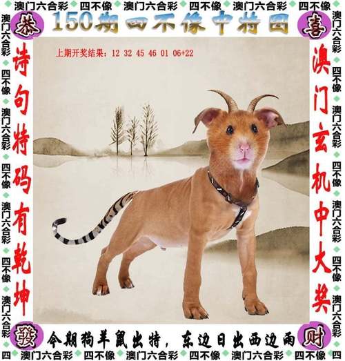 2025年6月10日 第3页